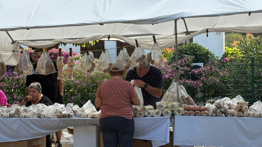 Sardiñada de Sada (4)