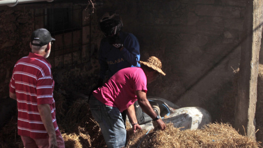 Carrilanas de Bañobre, Miño FOTO Quintana (2)