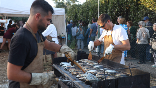 Celebraciones patronales de Santa Cruz. FOTOS Germán Barreiros (25)