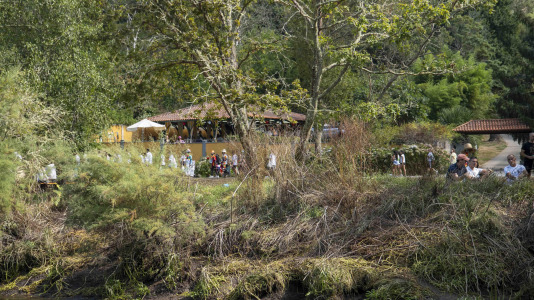 Os Caneiros. Fotos Carlota Blanco (17)