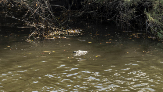 Os Caneiros. Fotos Carlota Blanco (14)