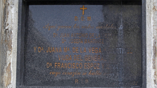 Nicho de Juana de Vega y Espoz y Mina