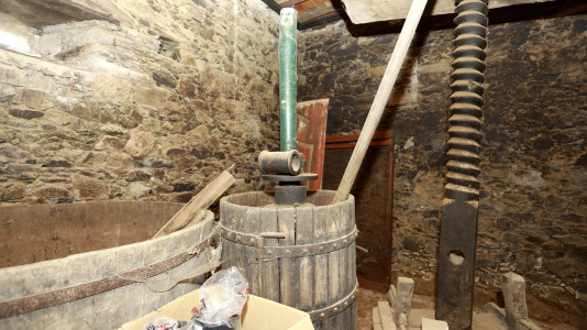 Visita guiada al Pazo de Illobre (5)