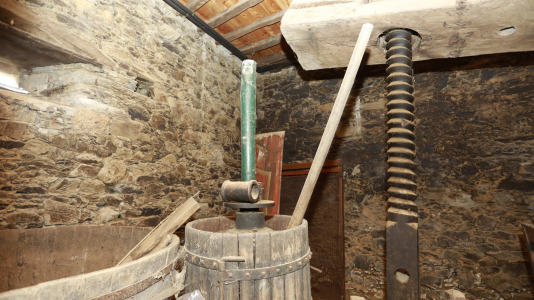 Visita guiada al Pazo de Illobre (7)