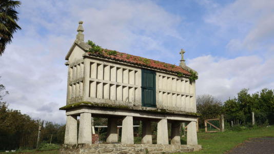 Visita guiada al Pazo de Illobre (13)