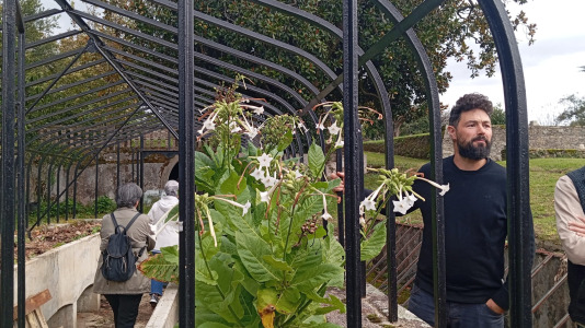 Visita guiada al Pazo de Illobre (25)