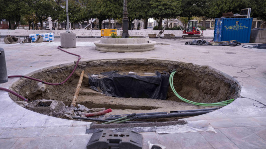 El Ayuntamiento procederá a protegerlos para garantizar su conservación