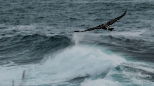 Hubo lluvias, pero también imágenes espectaculares del cielo y las calles de la ciudad