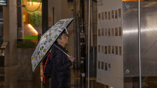 Cubos expositivos sobre la figura de Castelao  (10)