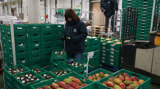 Sede central de Gadisa en Betanzos