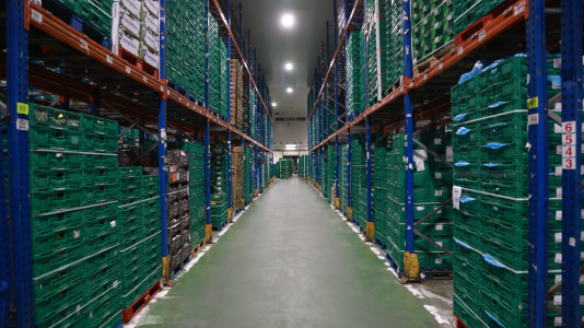 Sede central de Gadisa en Betanzos