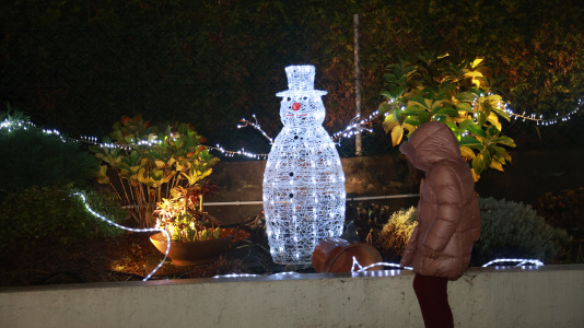 Decoración navideña en Gosende (16)