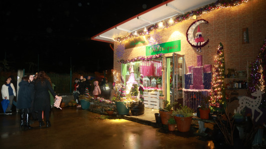 Decoración navideña en Gosende (33)