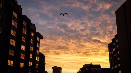 El cielo dejó un espectáculo de luz en el inicio del día en la ciudad