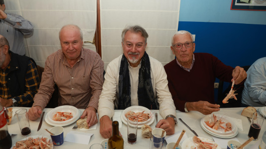 Arturo, Fallado y Botana