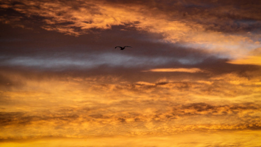 Este 17 de diciembre empezó con un espectáculo de colores en la ciudad, que despertó con los cielos poco nubosos aunque con bastante frío