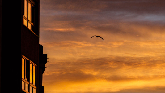 Este 17 de diciembre empezó con un espectáculo de colores en la ciudad, que despertó con los cielos poco nubosos aunque con bastante frío