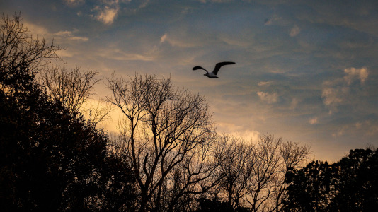 Este 17 de diciembre empezó con un espectáculo de colores en la ciudad, que despertó con los cielos poco nubosos aunque con bastante frío