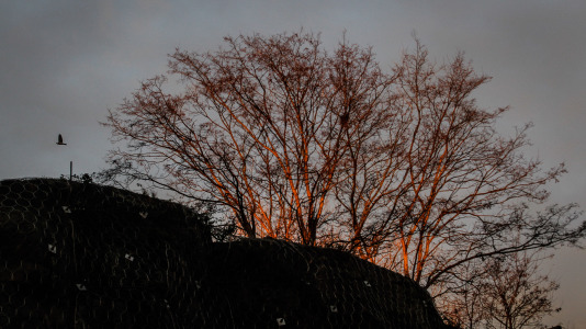 Este 17 de diciembre empezó con un espectáculo de colores en la ciudad, que despertó con los cielos poco nubosos aunque con bastante frío