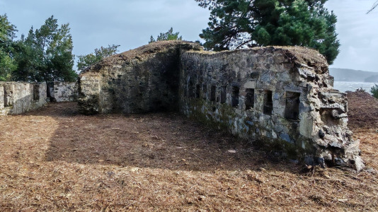  Una visita histórica organizada por la Asociación de Vecinos de La Calle de La Obra consiguió la apertura del BIC