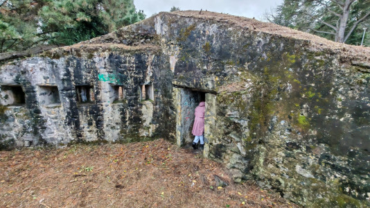  Una visita histórica organizada por la Asociación de Vecinos de La Calle de La Obra consiguió la apertura del BIC
