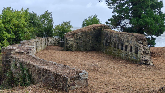  Una visita histórica organizada por la Asociación de Vecinos de La Calle de La Obra consiguió la apertura del BIC