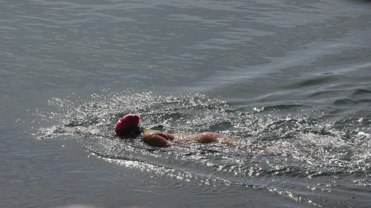 Los coruñeses no desaprovecharon la ocasión para regresar a las playas y a los paseos. Alguno, incluso, se atrevió a darse un baño