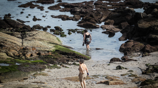 Los coruñeses no desaprovecharon la ocasión para regresar a las playas e incluso hubo alguno que se atrevió a darse un baño