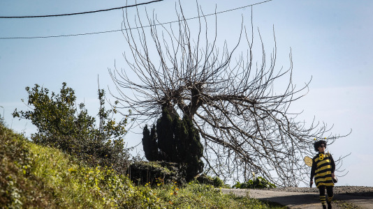 Este lugar de Paderne volveu avivar un ano máis o que é o único entroido tradicional das Mariñas 