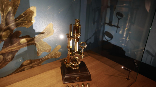 La muestra recrea el interior de la fragata 'Pizarro' y enseña las aventuras de ambos navegantes