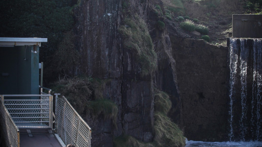 Hansi, Petra, Lara y Paula llevan en la ciudad desde la apertura del Aquarium