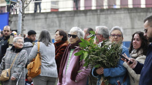 Procesión de la Borriquilla y la bendición de los ramos