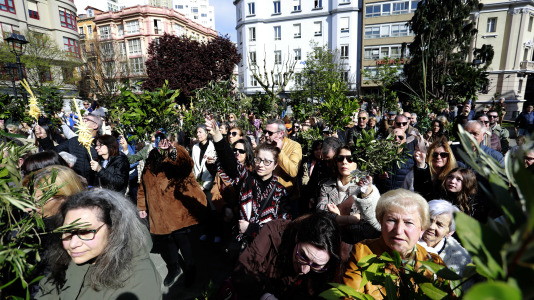 Procesión de la Borriquilla y la bendición de los ramos