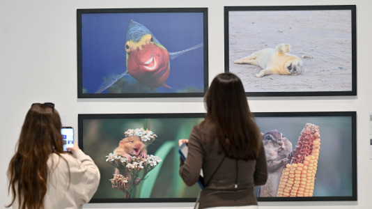 Exposición de Afundación