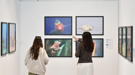 Exposición de Afundación