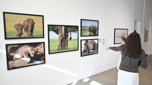 Exposición de Afundación