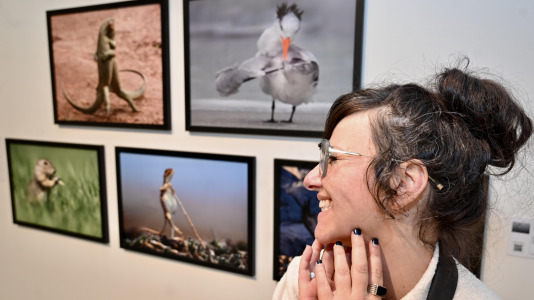 Exposición de Afundación