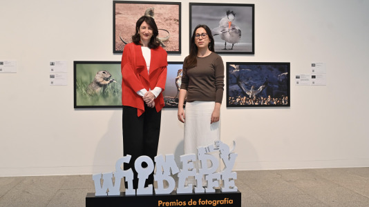 Exposición de Afundación
