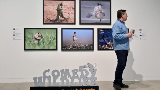 Exposición de Afundación