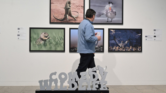 Exposición de Afundación