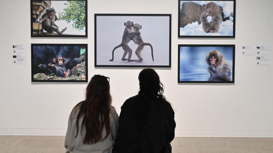 Exposición de Afundación