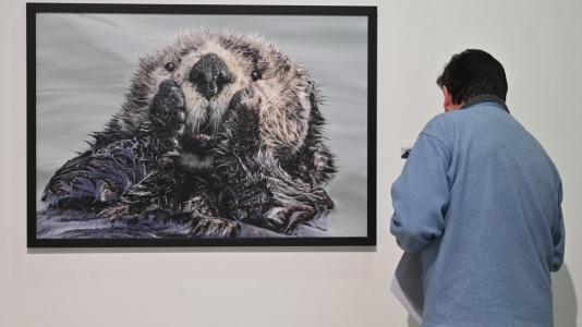 Exposición de Afundación