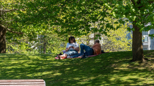 Los parques de A Coruña se llenaron de amantes del sol