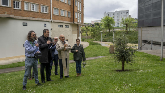 Los Rosales planta un olivo por su aniversario