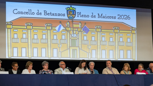 Los diecisiete participantes proponen una residencia pública de mayores, mejoras en la piscina, una feria con actividades para el colectivo y la creación de más parques biosaludables