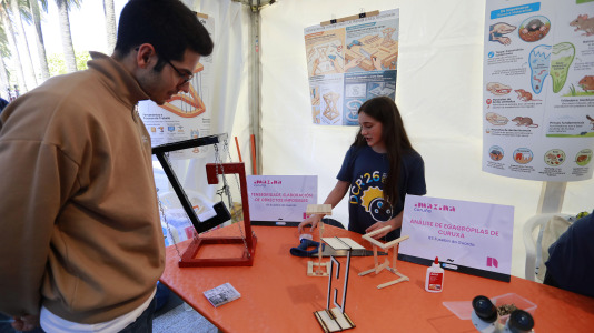 Día de la Ciencia en la Calle