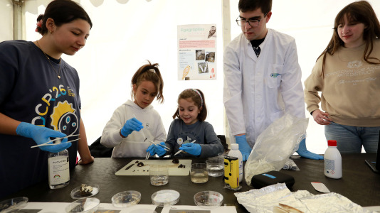 Día de la Ciencia en la Calle