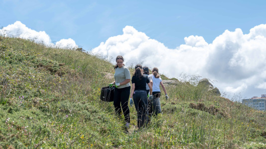Un grupo de alumnos del IES O Couto realiza una jornada de retirada de especies exóticas invasoras, en el entorno de la Torre de Hércules