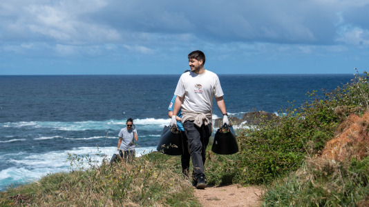 Un grupo de alumnos del IES O Couto realiza una jornada de retirada de especies exóticas invasoras, en el entorno de la Torre de Hércules