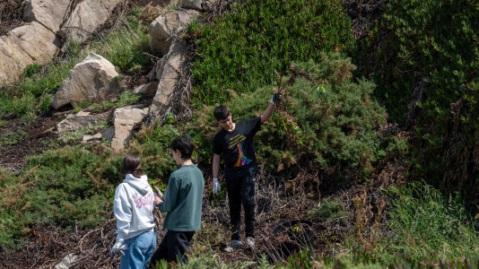 Un grupo de alumnos del IES O Couto realiza una jornada de retirada de especies exóticas invasoras, en el entorno de la Torre de Hércules